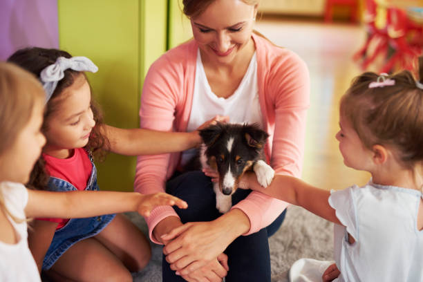 A Complete Guide to Using Therapy Animals in Classrooms
